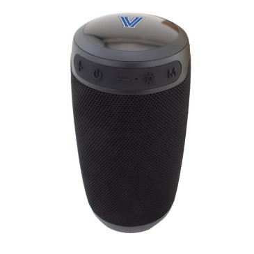 Castwave Speaker
